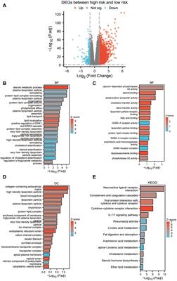 Revealing the characteristics of SETD2-mutated clear cell renal cell carcinoma through tumor heterogeneity analysis